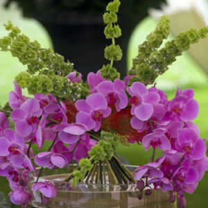 3 things to avoid while tending to orchids