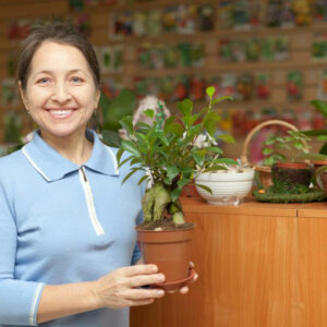 Planting zones – What they don’t tell